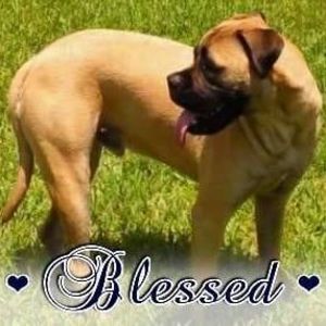 Meet your Posher, Brent